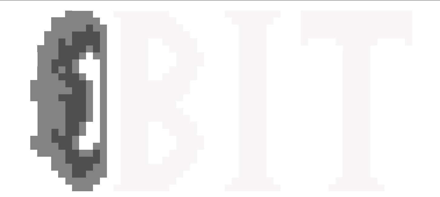 Brain Image Team lab website
